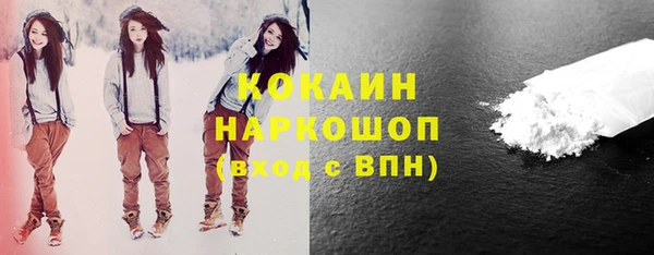 стаф Аркадак