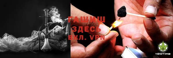 стаф Аркадак
