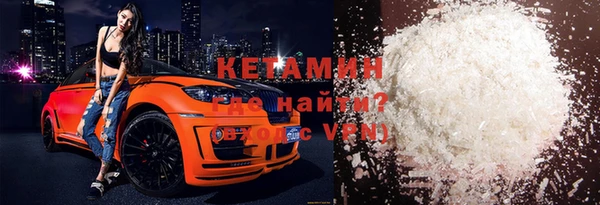 стаф Аркадак