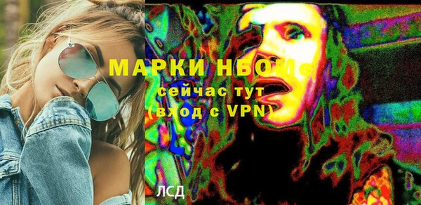 стаф Аркадак