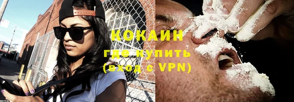 стаф Аркадак