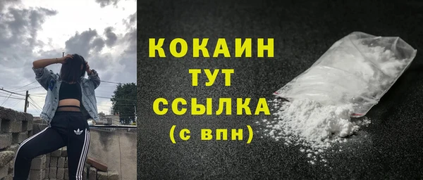 стаф Аркадак
