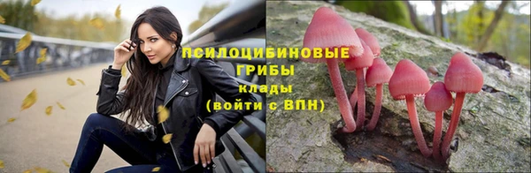 спиды Арсеньев