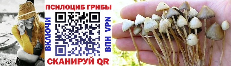 Псилоцибиновые грибы GOLDEN TEACHER  даркнет сайт  Кологрив 